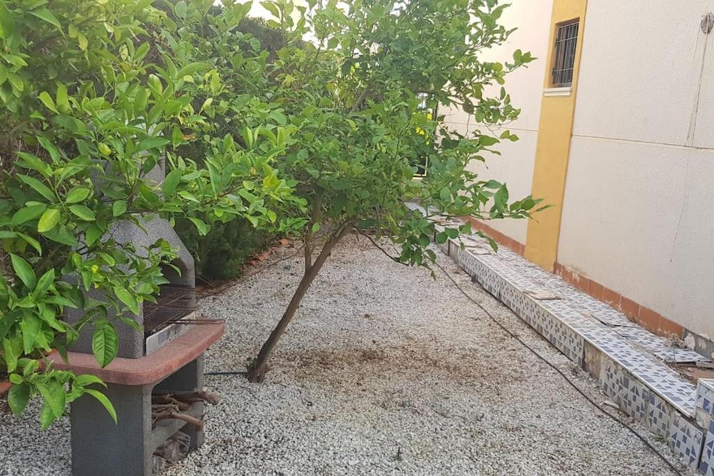 Punta Prima Bungalow Jardin Privado Torrevieja Kültér fotó