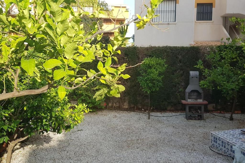 Punta Prima Bungalow Jardin Privado Torrevieja Kültér fotó