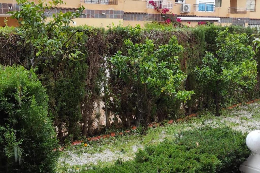 Punta Prima Bungalow Jardin Privado Torrevieja Kültér fotó