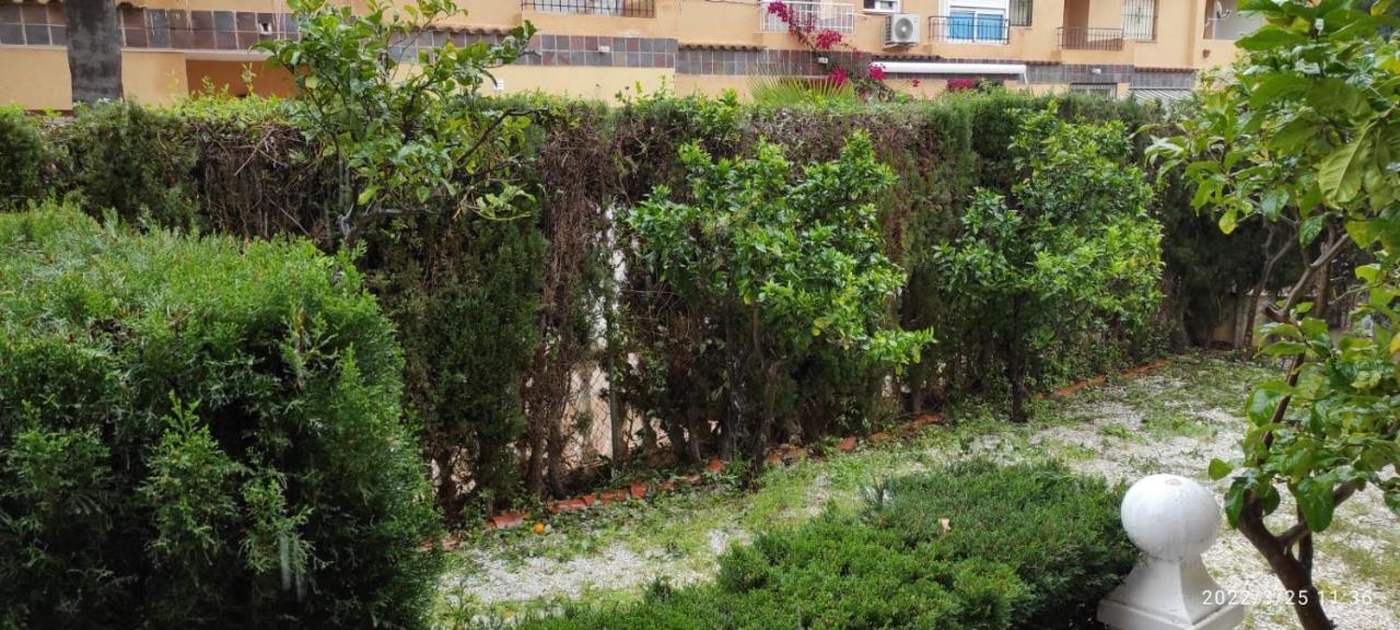 Punta Prima Bungalow Jardin Privado Torrevieja Kültér fotó